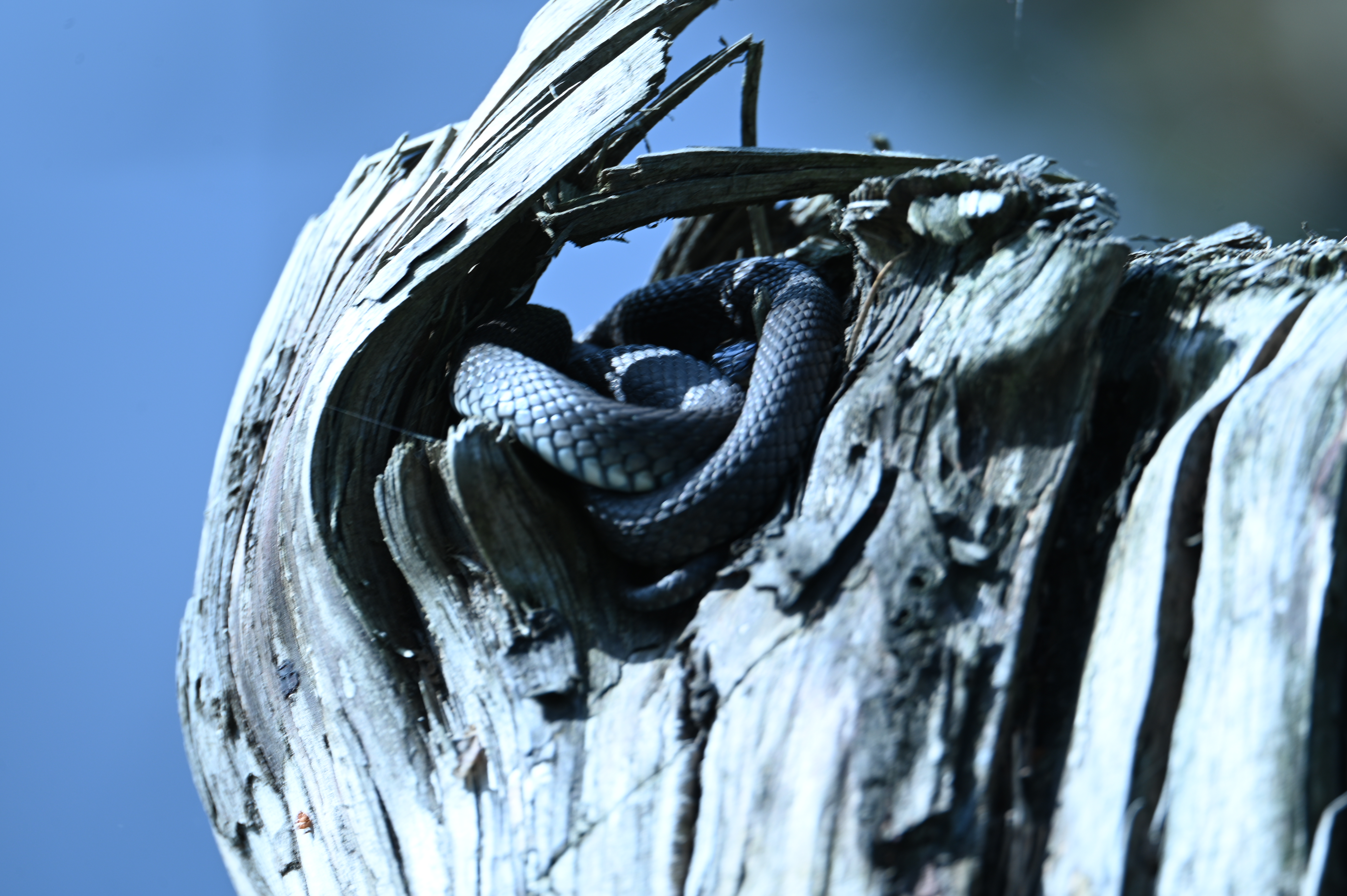 2025/07/09-14 - trip/DSC_0490.JPG